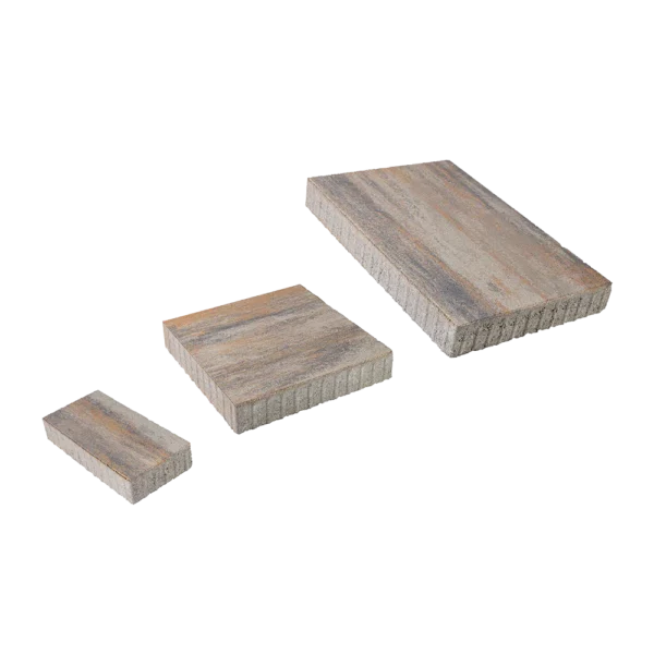 Zselickő 6cm Kagyló